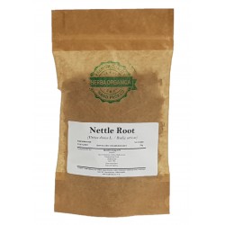 Nettle Root / Urtica dioica...