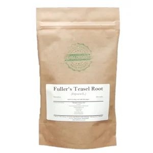 Fullers Teasel Root Dipsacus fullonum L Herba Organica dried herbal root for tea and infusions