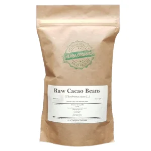 Raw Cacao Beans Theobroma cacao L Herba Organica natural whole beans for culinary use