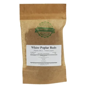 White Poplar Buds (Populus alba L.) Herba Organica premium dried buds for herbal teas and infusions