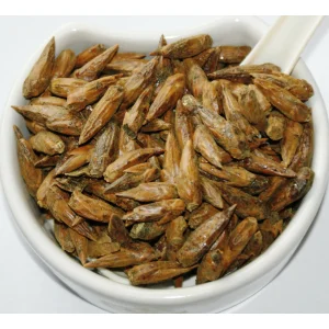 White Poplar Buds (Populus alba L.) Herba Organica dried buds showing natural texture and color for herbal teas and infusions