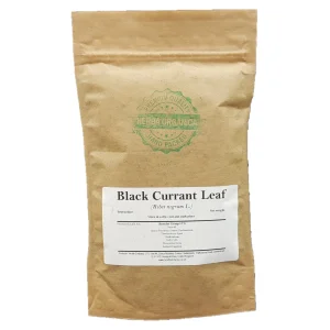 Black Currant Leaf Herba Organica – dried leaves of Ribes nigrum with deep green colour, perfect for herbal teas