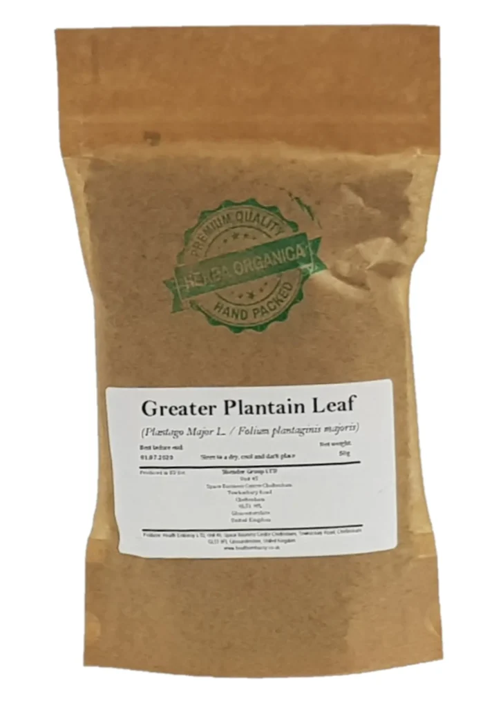 Greater Plantain Leaf Plantago major L Herba Organica dried herb for herbal tea and infusions