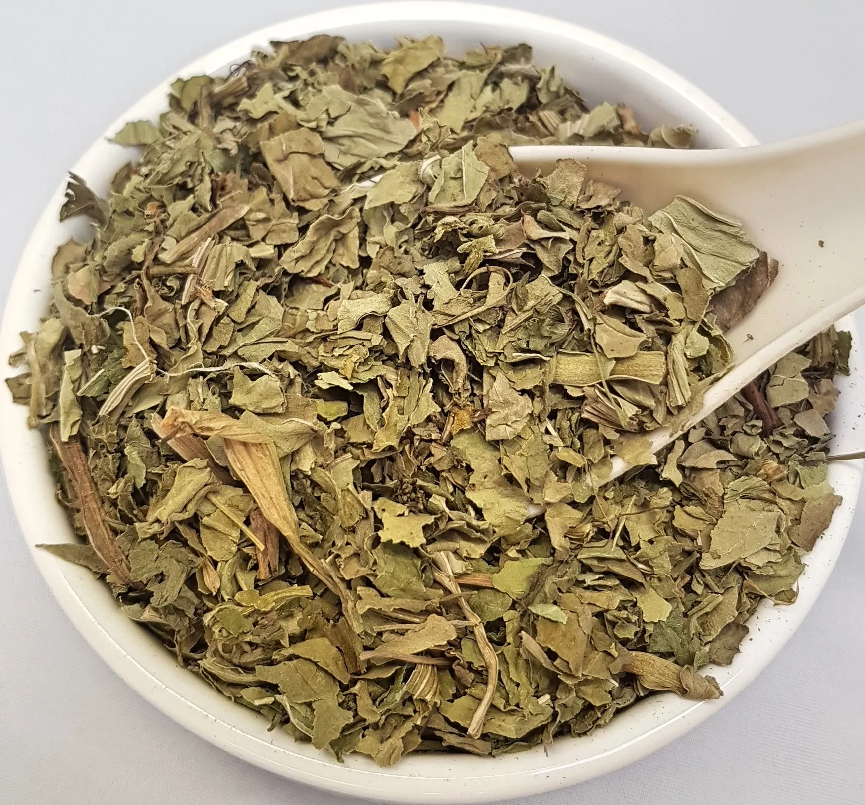 Greater Plantain Leaf Plantago major L Herba Organica dried leaves for herbal teas and infusions