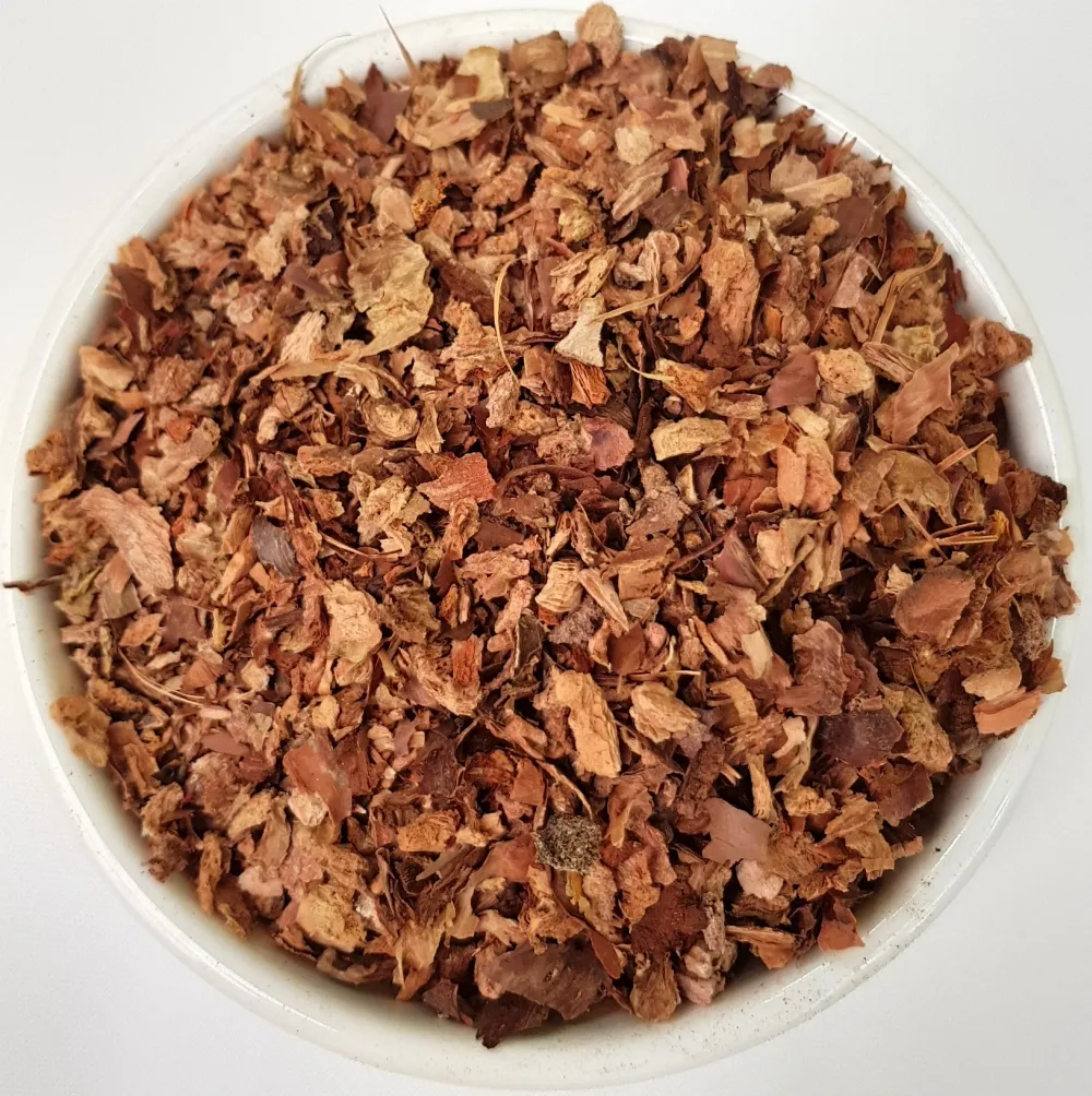 Rhodiola Rhizome Rhodiola rosea L Herba Organica dried root pieces for teas and infusions