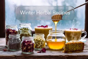 Herbal Recipes with Herba Organica dried herbs: cozy winter kitchen scene with lattes, herb-infused honey, and baked desserts