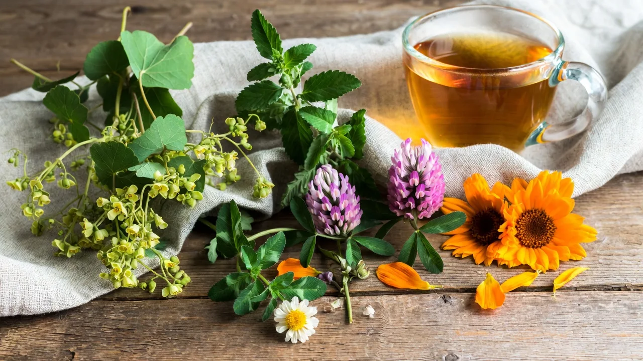Herba Organica 6 Herbs for Women featuring Lady’s Mantle, Motherwort, Red Clover, Lemon Balm, Rose and Calendula arranged on rustic wooden table