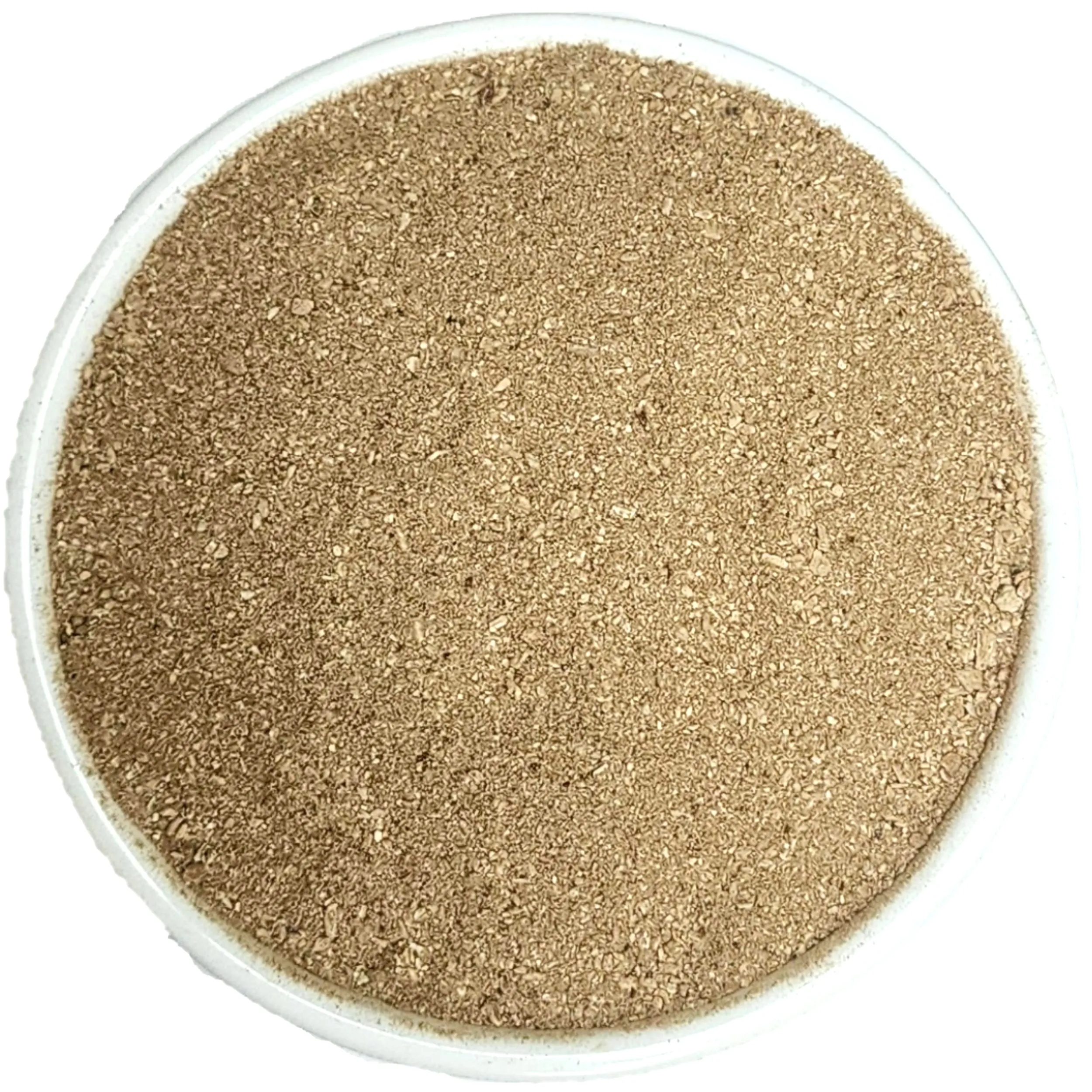 Finely ground Herba Organica Angelica Root Powder in a ceramic bowl, ready for herbal infusions and blends